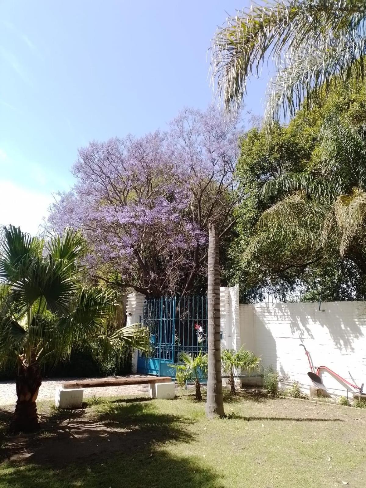 Apart Universidad Río Cuarto Eksteriør bilde